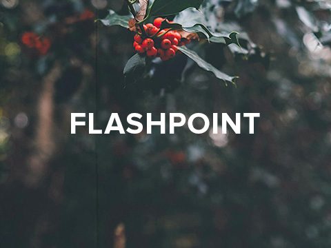 FlashPoint
